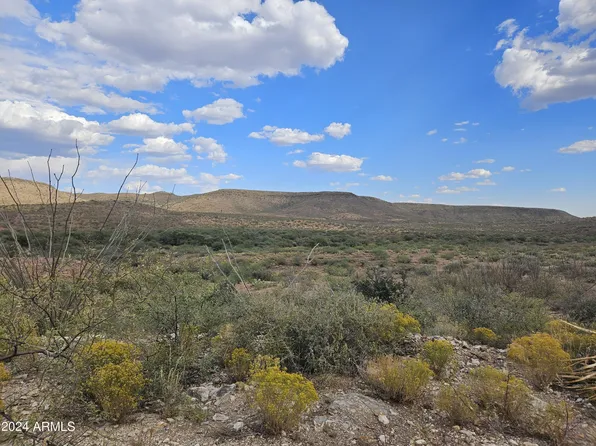TBD N PEDREGOSA RD LOT 12O -- #120, Douglas, AZ 85607
