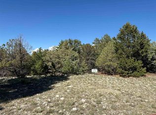 26 Pioneer Pl, Pioneer pl, CO 81146