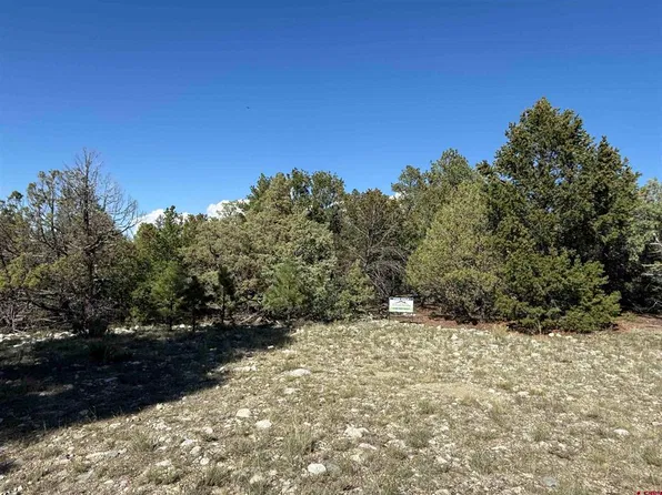 26 Pioneer Place, Mosca, CO 81146