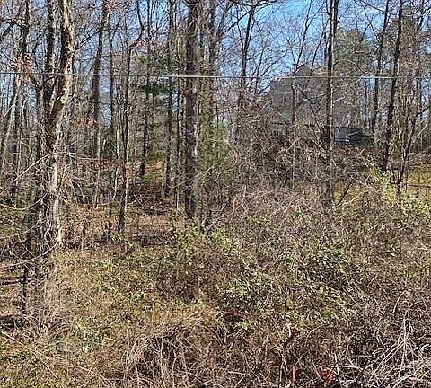 3rd image of 0 Forest Acre Trl