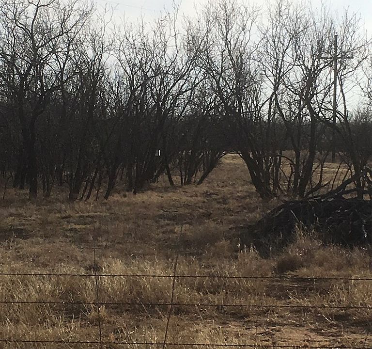 2nd image of 1215 N Business Highway 84