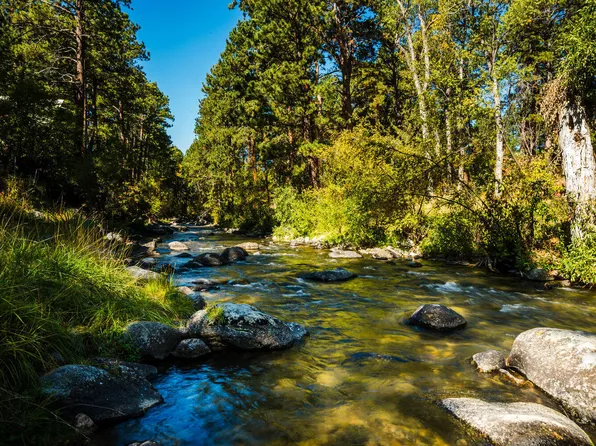 39 Fish Hatchery Rd, Story, WY 82842