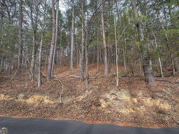 4th image of 0 Manning Mill Rd