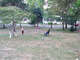 Large double lot back yard