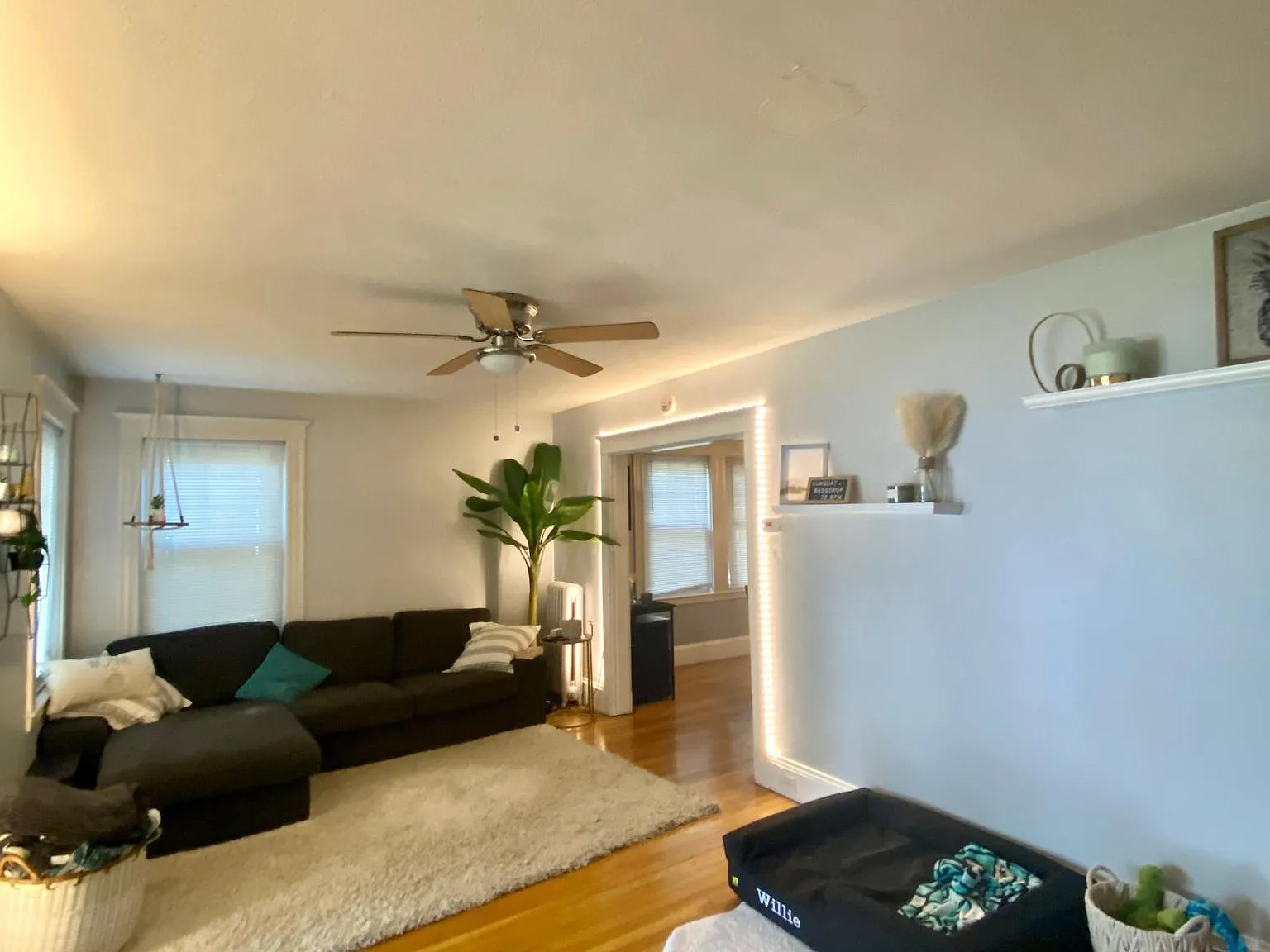 8 Belmont St — Photo 3