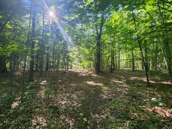Vacant Land Oakridge Dr, Beaverton, MI 48612