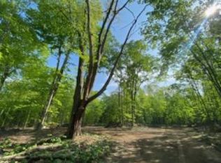 Behler Rd, Ravenna, MI 49451