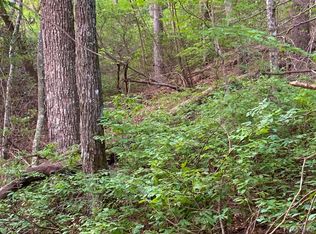 Spring Forest Rd, SAPPHIRE, NC 28774