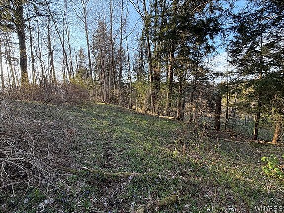 3rd image of 0 Pit Rd Lot 22