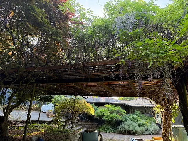 Pergola