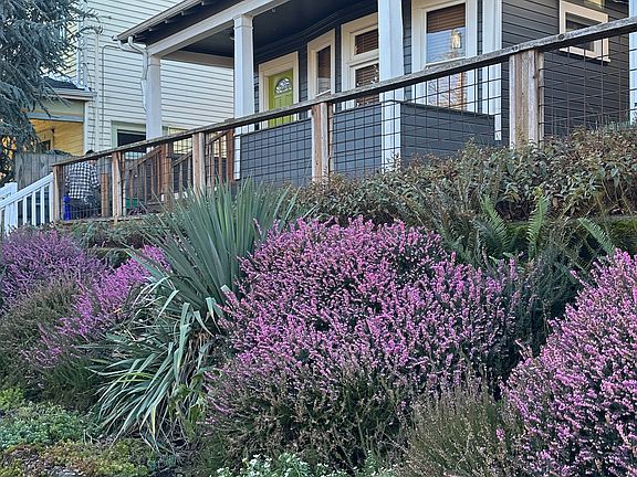 View from sidewalk with lavender.