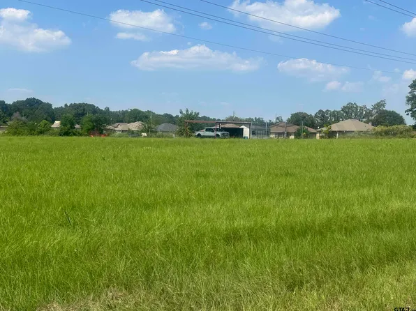 County Road 4160, Pittsburg, TX 75686