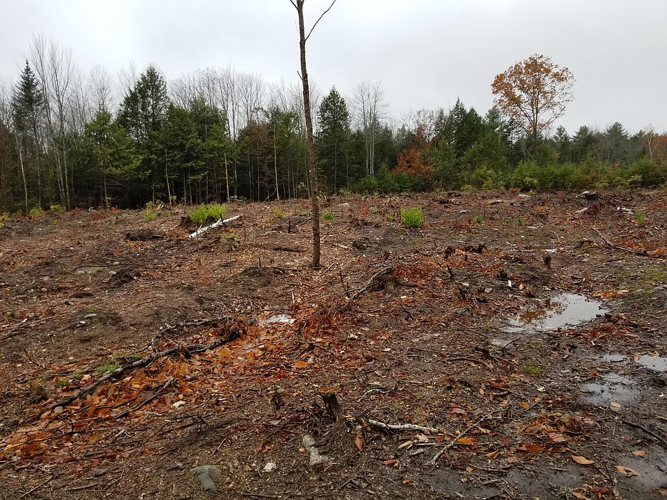2nd image of Lot #5 Pindo Polara Road