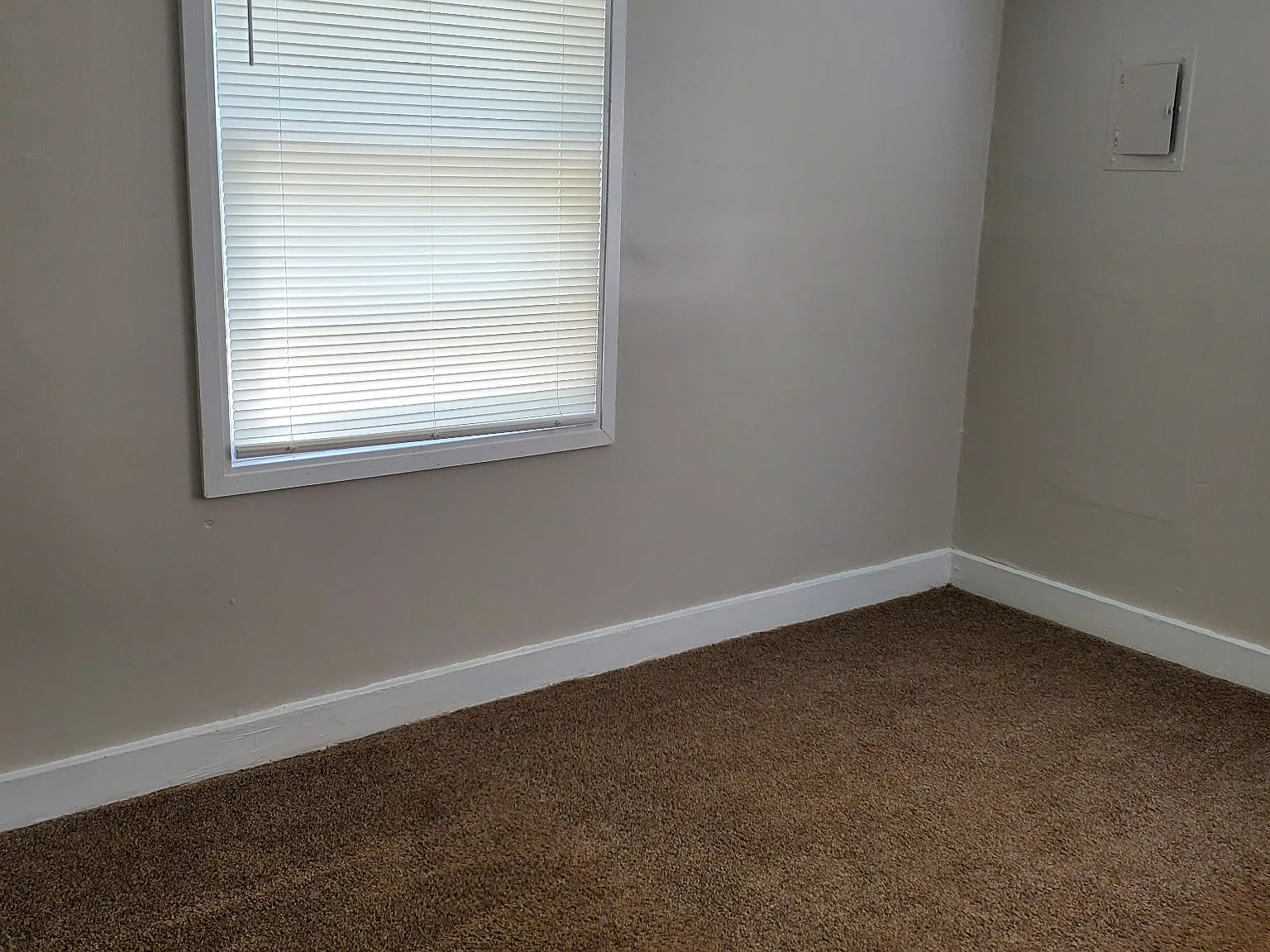 2233 2nd Street South - D. Wehby — Photo 3