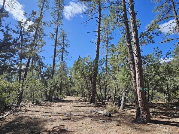 6731 Pine Cone Trl, Pine, AZ 85544