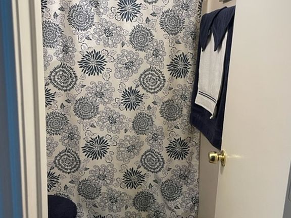 Hall bathroom