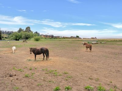 238 Pioneer Rd, Watsonville, CA, 95076