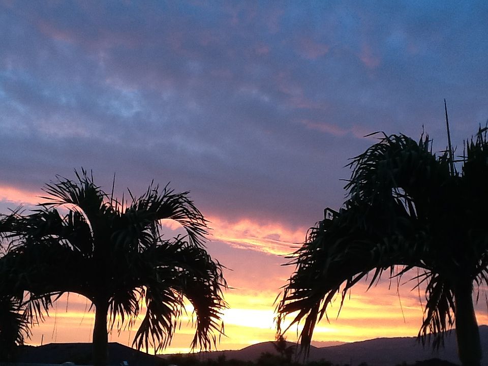 Back yard sunsets