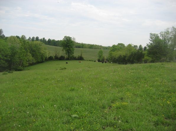 1 Buckler Ln, Olive Hill, KY 41164