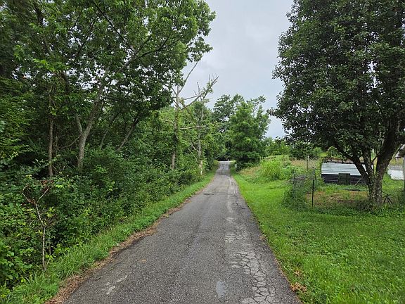 4th image of 242 Slick Ridge Rd