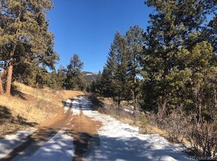 33818 Bardwell Rd, Pine, CO 80470
