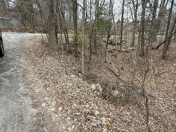 4th image of 131 Mercer Road