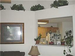 Plant shelves and pass through window into kitchen