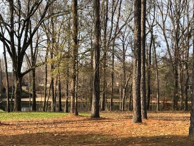 Bridgewater Xing LOT 24, Ridgeland, MS, 39157