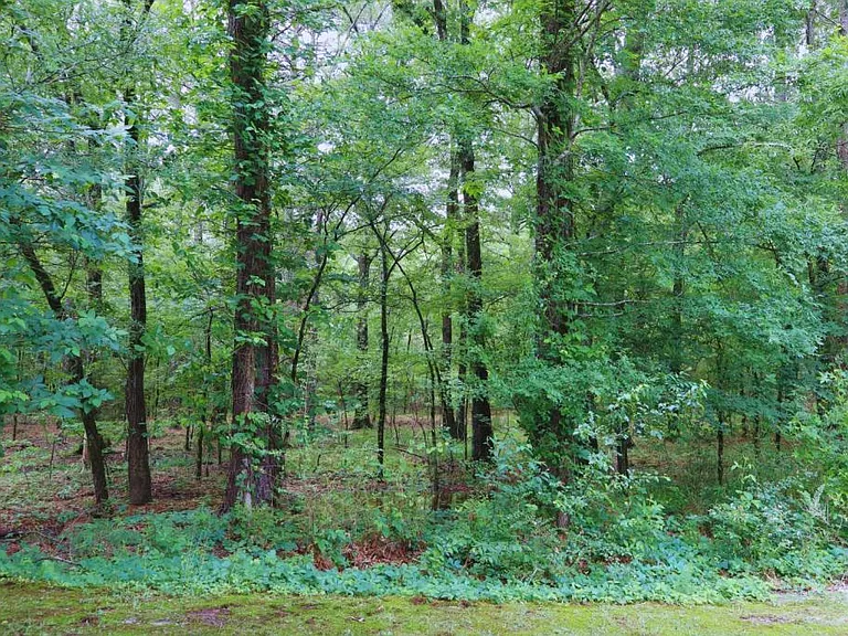 1100 Woodlawn Ave #64 — Photo 32