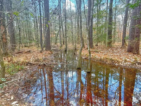 0 County Road 1200 Vw, Hemphill, TX 75948