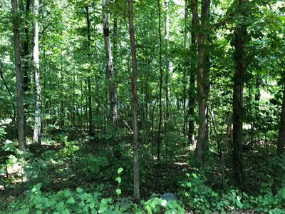 130 N Stewart Ln, Griffin, GA, 30224