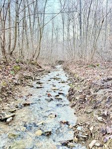 0 Sam Baughman Rd, Stanford, KY, 40484