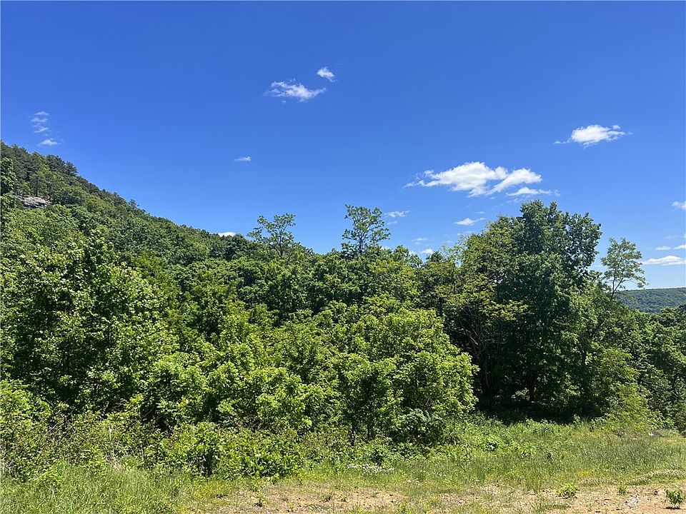 1st image of Terrapin Rd