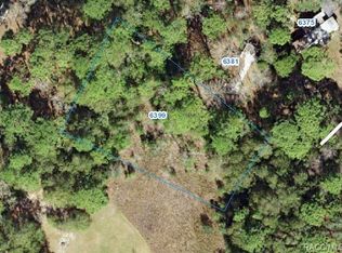 6399 W Country Club Dr, Homosassa, FL 34448