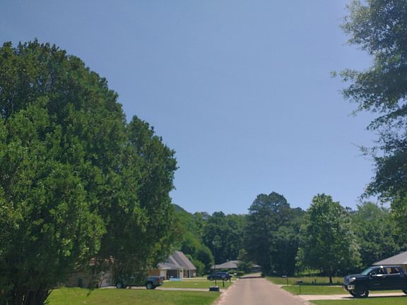 5th image of 8518 Woodhill Ln