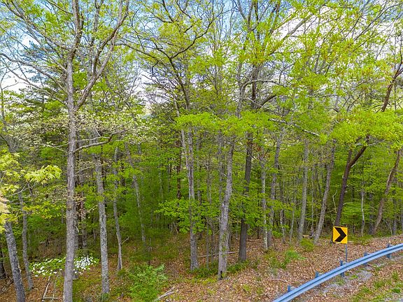 5th image of 5.9 Acre Stoney Fork Rd