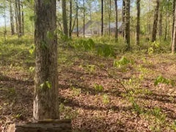 0 Hidden Highlands Ct Lot 93, Mc Ewen, TN 37101