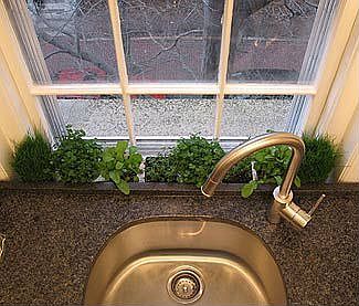 Window Garden