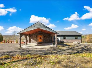 217 Meade Rd, Charlotteville, NY 12036