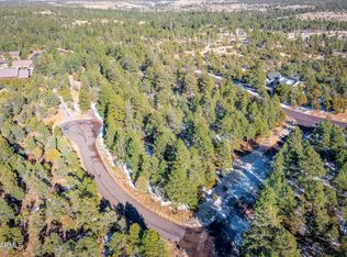 2833 Thunderbolt Cir LOT 207, Overgaard, AZ 85933