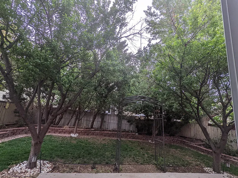 11345 Haswell Dr — Photo 36