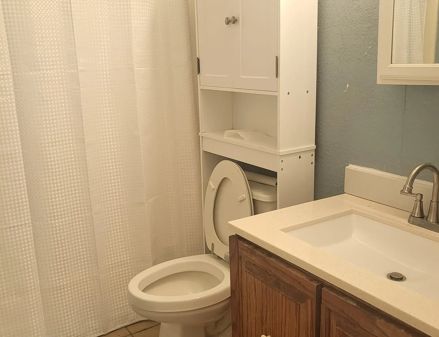 1 bed, $800 — Photo 4