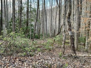 0 Carringer Rd #1-15, Robbinsville, NC 28771