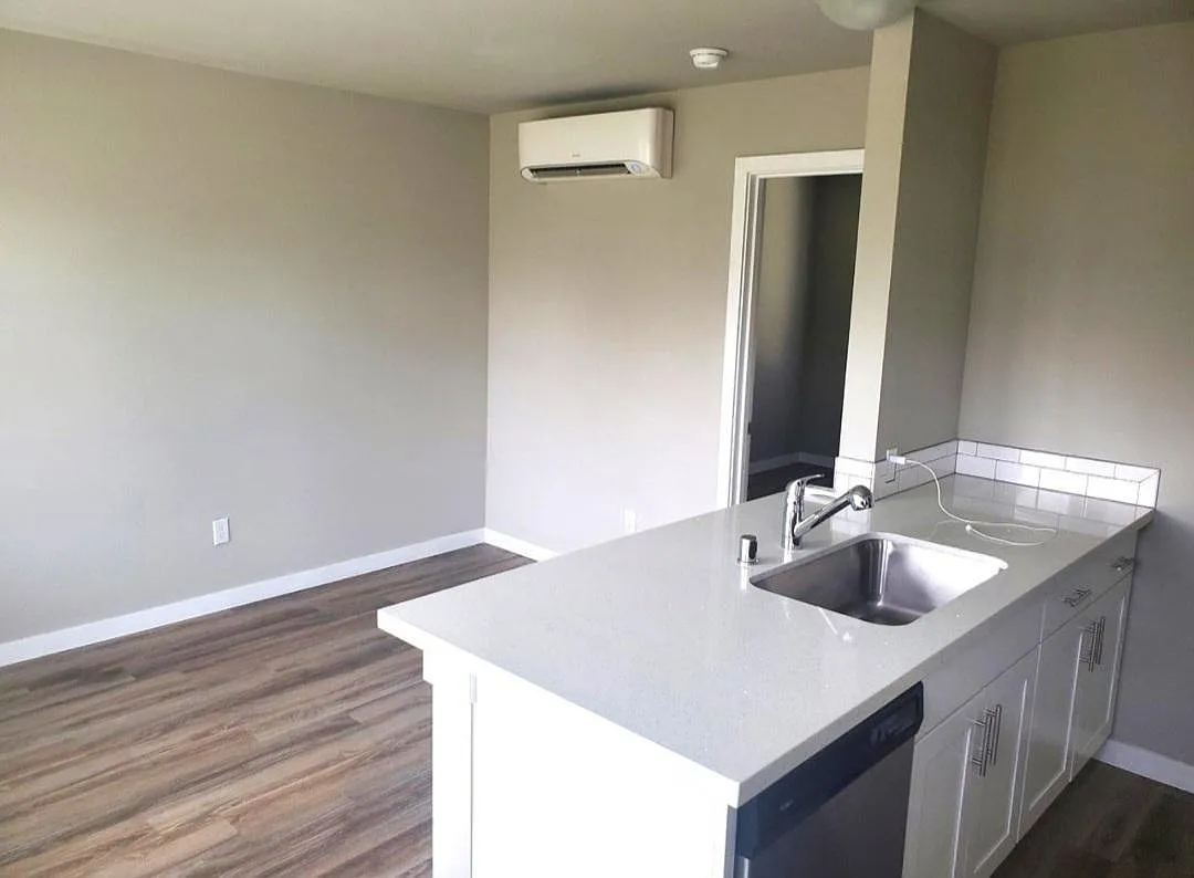 1 bed, 450 sqft, $1,500 — Photo 3