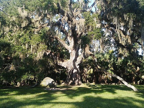 4th image of 648 Coral Trace Blvd