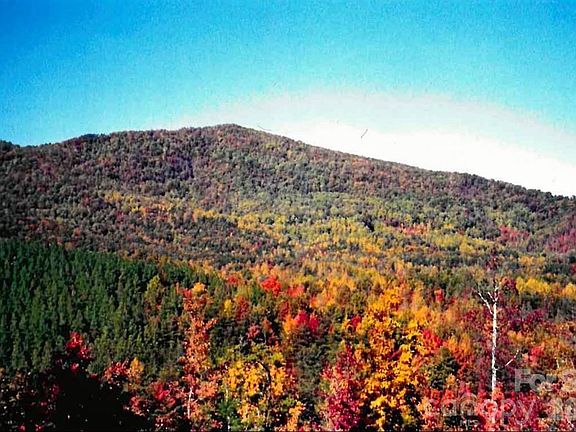 2nd image of 0 Froggyville Ln