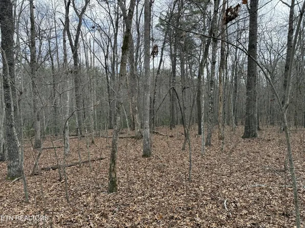 0 Street Place Loop Lot 15, Monterey, TN 38574