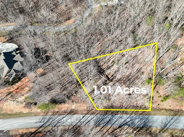 21 Long Mountain Trl, Cleveland, GA 30528