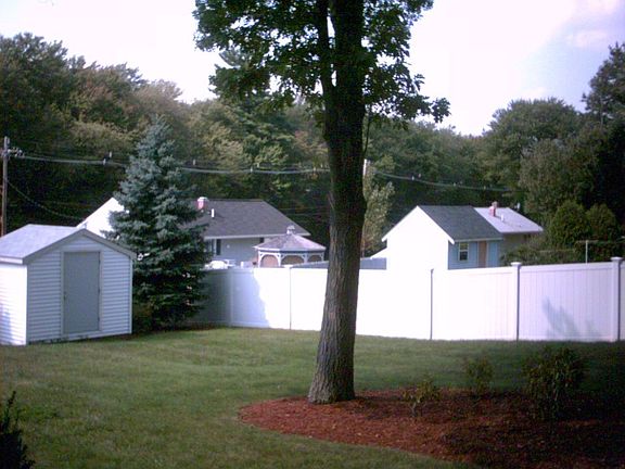 Backyard 3