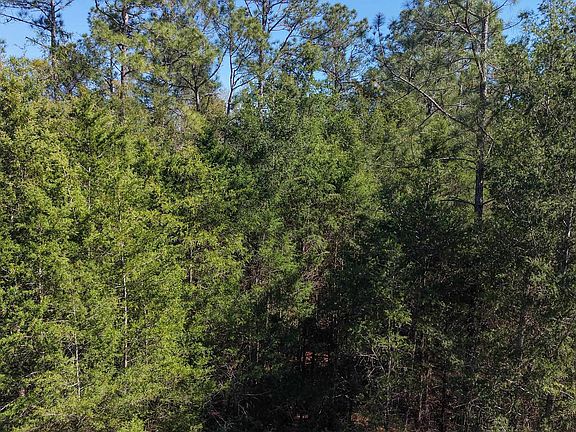 4th image of 0 County Road 83